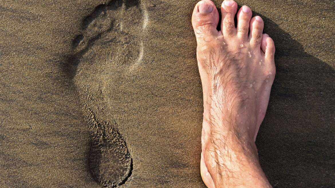 Why do feet sweat and what is behind it?